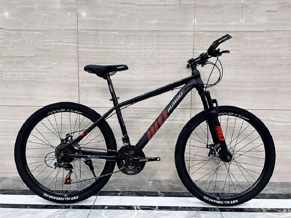 Folding Mountain Bike