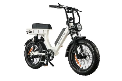 Gorsko električno kolo Fat Tire